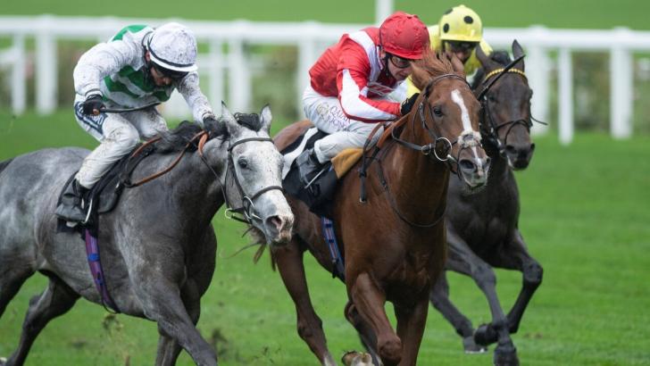 Andrew Balding's Berkshire Rocco